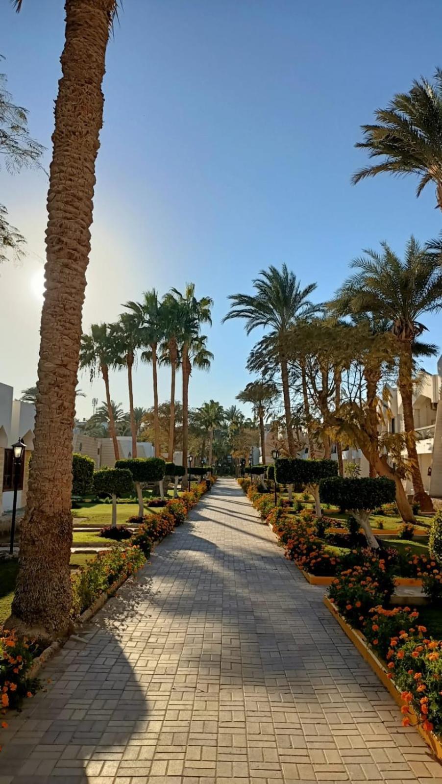 Zya Regina Resort And Aqua Park Hurghada Eksteriør bilde