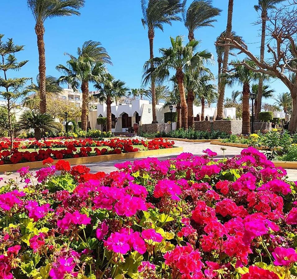 Zya Regina Resort And Aqua Park Hurghada Eksteriør bilde